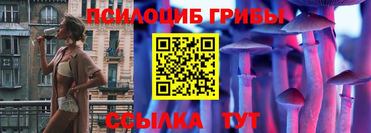 Псилоцибиновые грибы Psilocybe  Вход с VPN  Галлюциногенные грибы мухоморы  Серов 